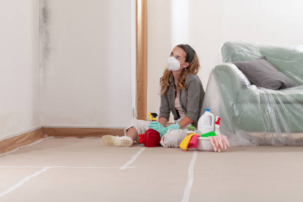 Reliable Crawl Space Mold Removal contractor in Damascus, OR by WQB Mold Removal